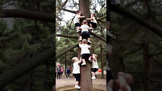 Multiple babies are trained to climb trees The healing smiles of human cubs The carefree childho [upl. by Freida]