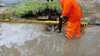 Urban Flooding Unclogging Drains and Restoring Order to the Streets [upl. by Clancy336]