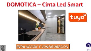 Domótica  Cinta Led Smart Wifi TUYA [upl. by Cattier]