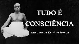 Atmananda Krishna Menon  Tudo é Consciência [upl. by Yelsiap]