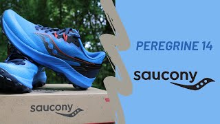 Preview → Saucony Peregrine 14 présentée par Julien [upl. by Carine]