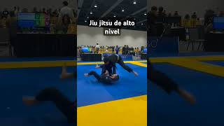 Jiu jitsu em alto nível bjj [upl. by Mcgurn294]