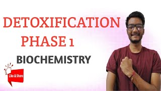 Detoxification  Biotransformation  Phase 1  Biochemistry  MBBS [upl. by Llehsyt978]