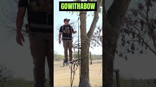 Falling out of my tree stand treestand safety falling gowithabow bowhunting huntingseason [upl. by Asehr]