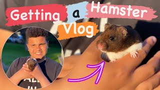 GETTING A NEW HAMSTER  VLOG [upl. by Philina]