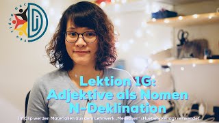 B1Lek1G Adjektive als Nomen und Nomen der NDeklination [upl. by Ahsai]