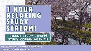 Study with me  1 Hour relaxing study stream [upl. by Jarred]