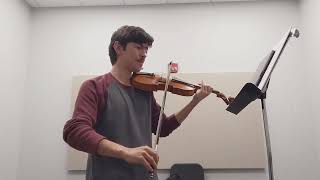 Mozart 39 second mvmt excerpt violin 1 [upl. by Mccurdy119]