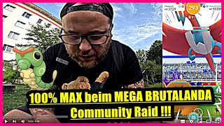 100 MAX beim MEGA BRUTALANDA Community Raid   Konter  Pokémon GO Deutsch  3088 [upl. by Zipnick]