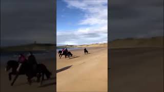 Atlantic Trailweek beach ride with Island View Riding Stables in Sligo [upl. by Graves]