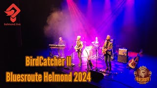 BirdCatcher II  Bluesroute Helmond 2024 [upl. by Ellecrad260]