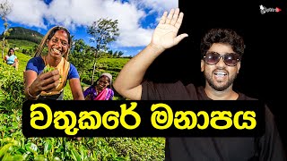 වතුකරේ මනාපය l TapWords [upl. by Kcirdderf]