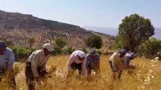 Şırnak dengbejleri dürün 2 [upl. by Graces]