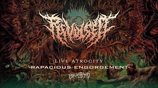 REVULSED  Rapacious Engorgement  Live Atrocity  DVD  BRUTAL MIND [upl. by Couq]