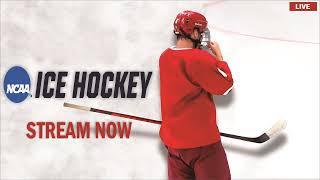 Vermont vs Union NY  2024 NCAA Mens Ice Hockey  LIVE [upl. by Nnairb]