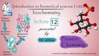 Biochemistry  Dr Abbas  Module 102  Lec 12 Protein Chemistry [upl. by Simone970]