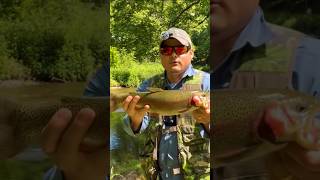 Pennsylvania Allentown trout fishing [upl. by Ecirtram]