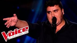 Jacques Brel  Ces gens là  Yoann Launay  The Voice France 2015  Blind Audition [upl. by Tillman]