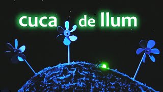 Titelles Pamipipa 🐛 CUCA DE LLUM Versió 2023🦗 Cançó popular amb paisatges sonors [upl. by Roanna182]