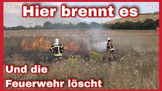 🚒Flächenbrand🚒Hunderte Quadratmeter in FLAMMEN🔥FEUERWEHR löscht im Gewerbegebiet LeipzigSeehausen🚨 [upl. by Schoening426]