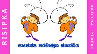 Grade 10 lesson 07 මූලද්‍රව්‍ය හා සංයෝග ප‍්‍රමාණනය  සාපේක්ෂ පරමාණුක ස්කන්ධය Relative Atomic Mass [upl. by Boj492]