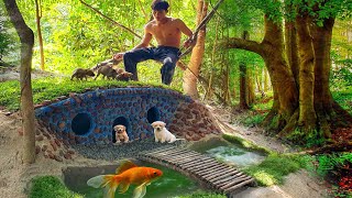 The rescuer rescued dogs and built a small house with a pond for them [upl. by Letnuahc]