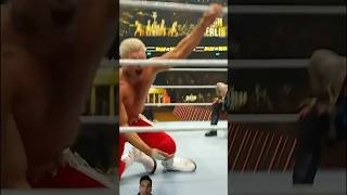 When rhodes wwe wrestling bashinberlin fyp shorts [upl. by Kornher]