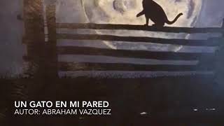 Un Gato En Mi Pared  Abraham Vazquez Composiciones [upl. by Sommer]