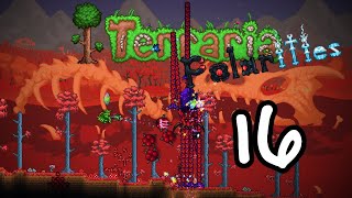 Terraria Polarities Mod Lets Play Episode 16 Hit Em With The Backtrack [upl. by Scherle]