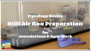 Mycology Basics Still Air Box SAB Prep Steps Before Use [upl. by Malarkey]