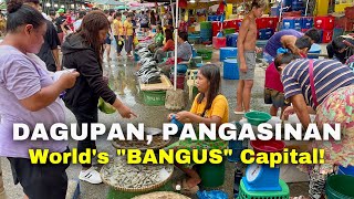 Downtown DAGUPAN CITY PANGASINAN  Explore the Streets Food Markets of Dagupan Philippines [upl. by Uriia851]