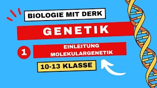 Genetik  1  Einleitung Molekulargenetik Grundbegriffe  10  13 Klasse [upl. by Starling283]