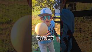 Wood ⚾️ vs Baseball Bat baseball baseballlife baseballswing baseballplayer 9u [upl. by Krusche]