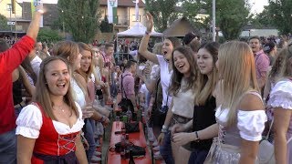 Die Partyfürsten  AltmainWeinfest Sand am Main 2018 [upl. by Nahta]