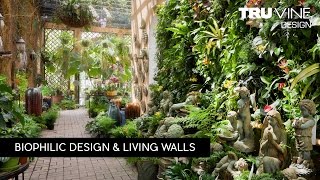 Florida Landscape Design 84  Living Walls by TruVine Design  Delray Beach Florida [upl. by Eniger]