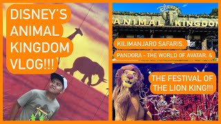 Disneys Animal Kingdom VLOG Adventures Animals amp AVATAR [upl. by Kaliski]