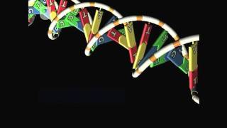 Gene To Protein Overview  DNA RNA and Protein Formation 47 [upl. by Aubrey]