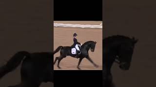 glamourdale horse dressage [upl. by Julianna]