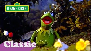 I Wonder Bout The World Song with Kermit  Sesame Street Classic [upl. by Smoht65]