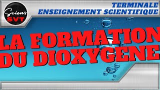 La distinction entre météorologie et climatologie  Enseignement scientifique  Terminale [upl. by Ailisab]