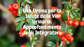 Uva Ursina a Cosa Serve questa Antica Erba Benefici e Proprietà dellUva Ursina [upl. by Ciaphus426]