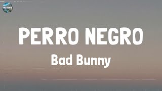 Bad Bunny  PERRO NEGRO Lyrics [upl. by Anair412]