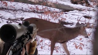 OPENING DAY of New York RIFLE SEASON Deer Everywhere [upl. by Anitnegra]