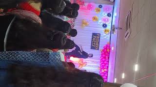 College dance performancetrending college song dance viralvideo youtube [upl. by Canfield752]