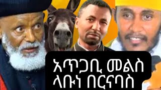 🔴አቡነ በርናባስ የአህያ እና የአይጥ ስጋ ብሉ አሉ ምነካቸው።🔴አባ ገብረ ኪዳን እና መምህር ዘበነ ምላሽ ሰጡ። [upl. by Nahtanoy726]