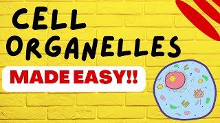 Cell Biology Cell Organelles explained in 5 minutes [upl. by Mireielle]