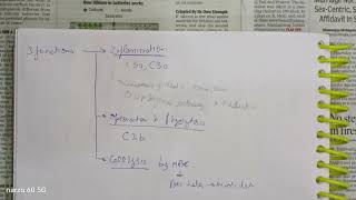 complement system hindi activation paroxysmal nocturnal hemoglobinuria hereditary angioedema [upl. by Daune]