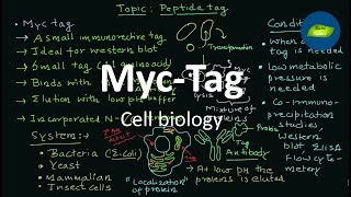 Myc tag  Protein tag  Myc tag  Immunogenic Tag  Cell Biology  Basic Science Series [upl. by Questa]