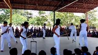 mais educação escola zumbi dos palmares rosane collor [upl. by Cod]