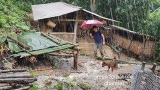 Full video compilation part 4 4 years living alone building farm Robert  Green forest life [upl. by Lawlor]